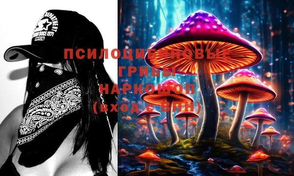 ешки Елабуга