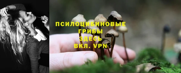 spice Ельня