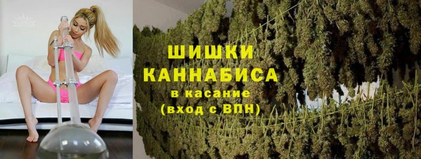 прущие крисы Елизово