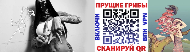 Купить закладки  Ивантеевка  Псилоцибиновые грибы GOLDEN TEACHER 